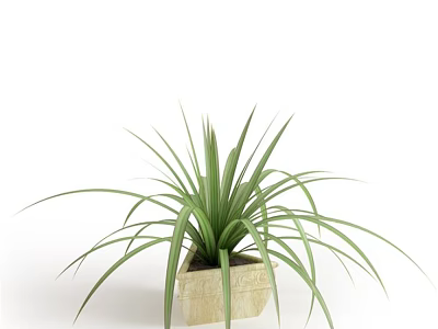 Green Potted Plant With Long Narrow Leaves In Light Colored Square Pot 3d model