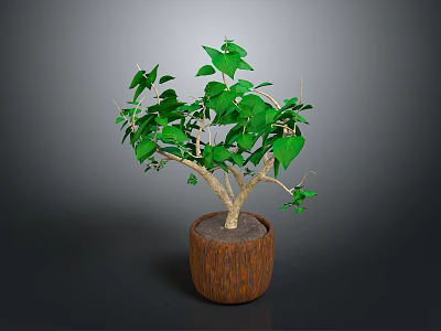 Lush Indoor Plant With Green Leaves And Stems In Brown Wooden Pot 3d model