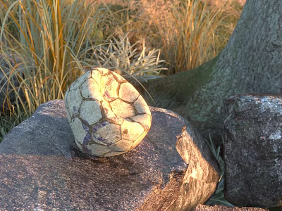 Football Sports Equipment On Stone With Grass Trees Sunset Light Cracked White Black Blue Surface 3d model