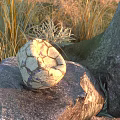 Football Sports Equipment On Stone With Grass Trees Sunset Light Cracked White Black Blue Surface