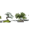 modern tree landscape tree arbor 3d model