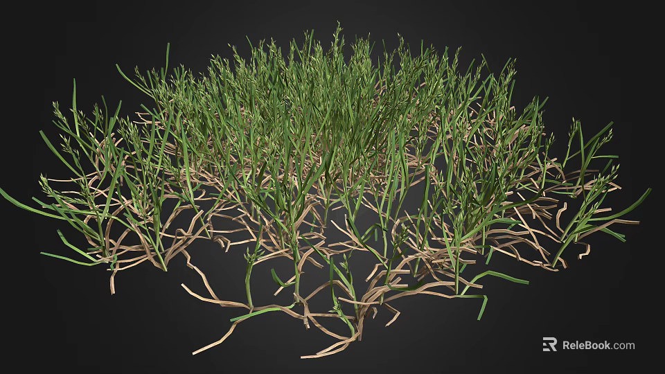 Green Grass Plant with Exposed Roots Growing on Black Background 3d model 