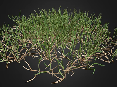 Green Grass Plant with Exposed Roots Growing on Black Background 3d model