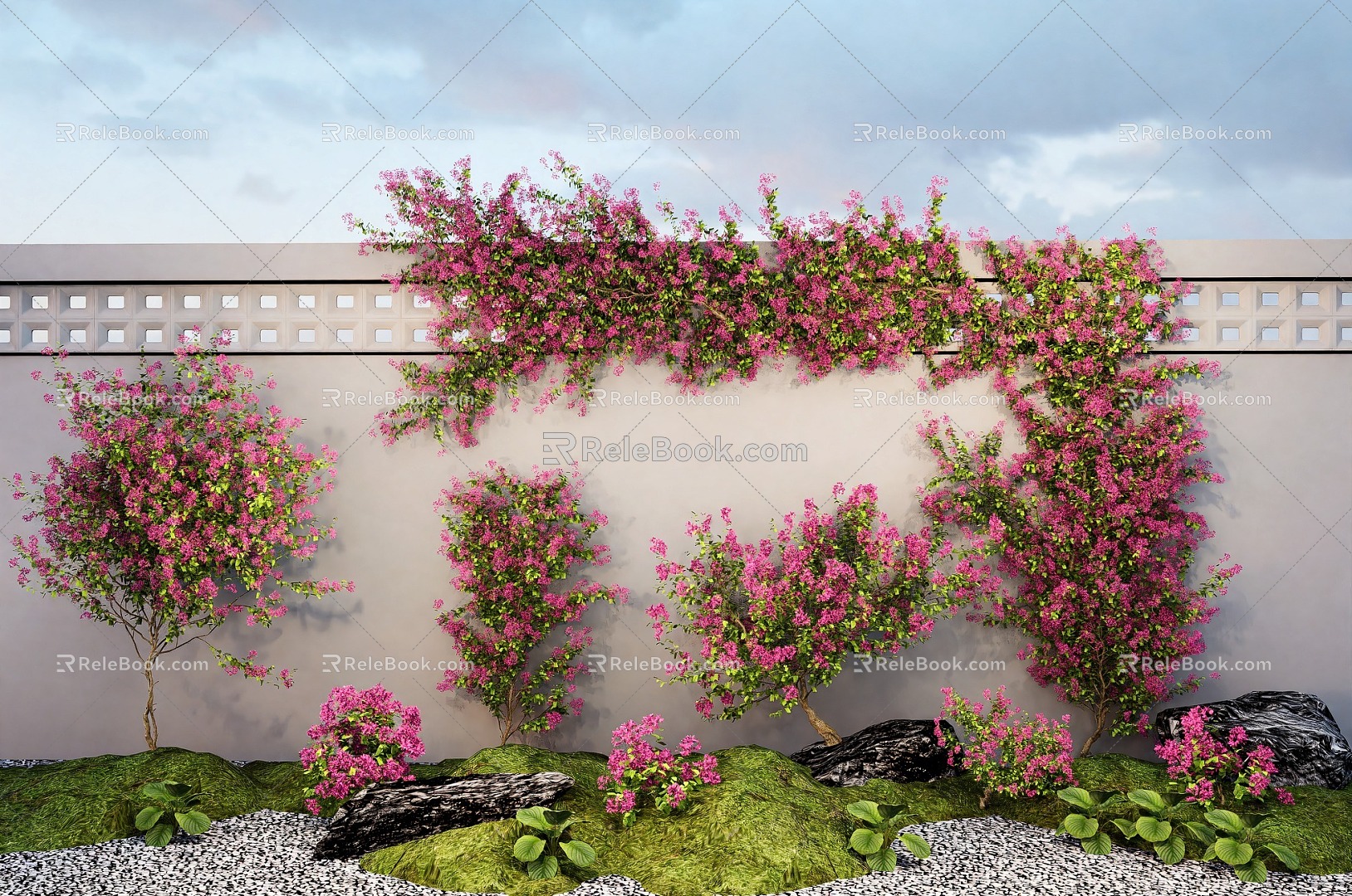 Bougainvillea vine vine climbing rose green plant wall 3d model