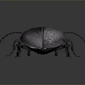 Dark Metallic Beetle With Long Antennae And Shiny Exoskeleton On Gray Background 3d model