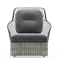 Elegant Modern Single Sofa With Metal Frame Gray Cushion And Woven Base 3d model