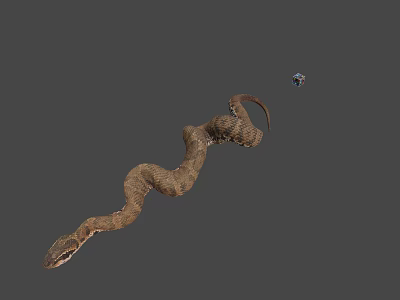 Brown Coiled Snake With Small Shiny Object On Gray Background 3d model