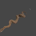 Brown Coiled Snake With Small Shiny Object On Gray Background
