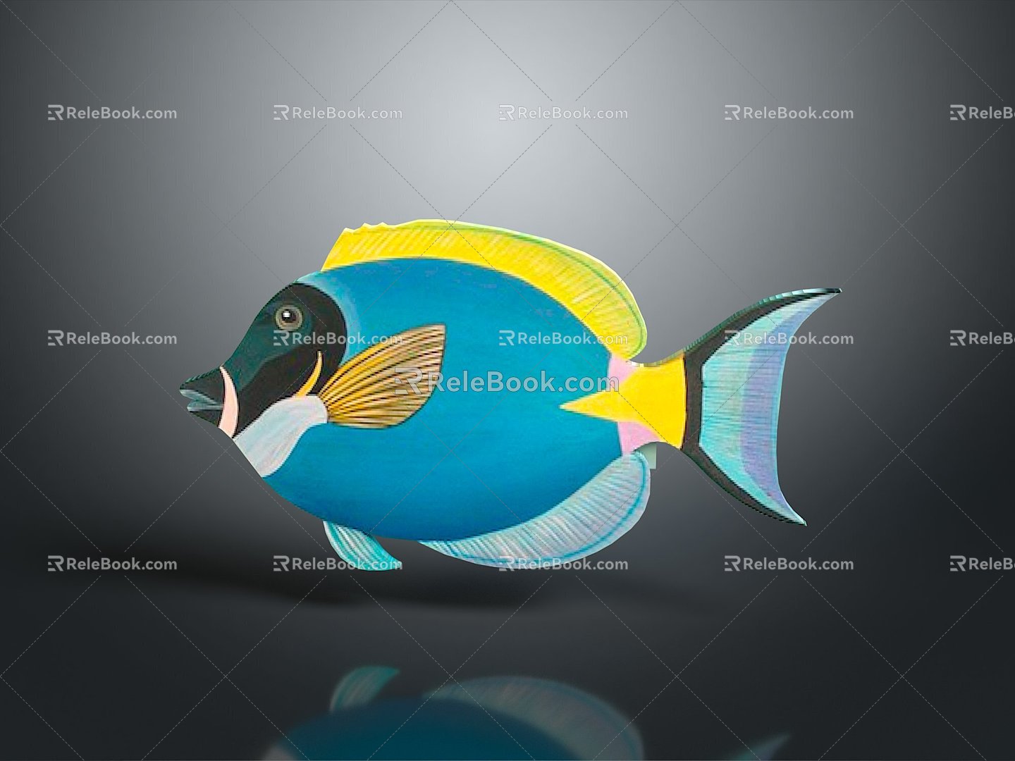 Yellow Tail Blue Devil Clown Double Color Ancient B Blue Hanging Yellow Triangle Hanging Fox Fish Watermelon Planer 3d model