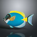 Vibrant Aquatic Animal Tropical Fish Featuring Blue Body Yellow Fins and Bright Colors