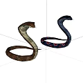 Reptile snake 3d model