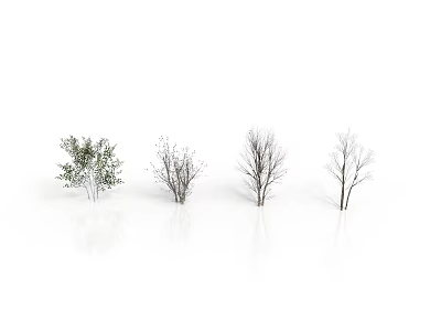 Various Tree Scenery Components with Different Foliage and Branch Structures 3d model