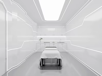 Modern SPA Sauna Interior Design With Massage Bed And White Sleek Decor 3d model