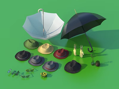Everyday Life Essentials Including Umbrellas Hats Gloves Sunglasses And Flower 3d model