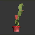 Potted Plant with Three Red Flowers Green Stems in Red White Dotted Pot on Black