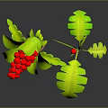 3D Plant Model With Green Leaves Red Berries Claw-like Roots And Small Red Berry Plant Reflection