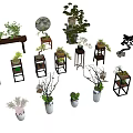 Various Decorative Potted Plants With Wooden Stands And White Ceramic Pots