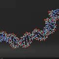 Biological Organizational System Of DNA Double Helix Molecular Structure Components