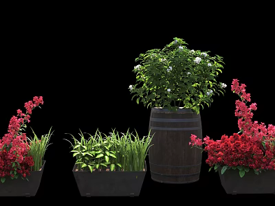 Bonsai and Potted Plants with Green Shrubs Red Flowers in Wooden Barrel and Square Pots 3d model