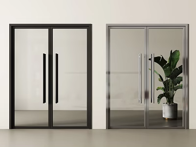Modern Glass Double Doors With Black And Silver Frames And Potted Plant 3d model