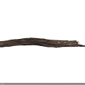 Natural Dry Arbor Branch Showcasing Detailed Wood Grain Texture Against Blurred Background