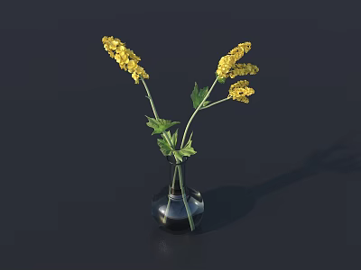 Simple Transparent Glass Vase With Yellow Flowers And Green Leaves On Black Background 3d model