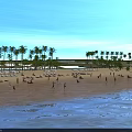 Beautiful Tropical Sandy Beach Landscape With Lush Palm Trees Gentle Sea Waves And Clear Sky