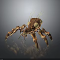 Detailed Brown Spider With Yellow Eyes And Spiky Legs On Gray Background
