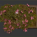 Decorative Bonsai Plant With Pink Flowers In Square Ceramic Pot And Moss
