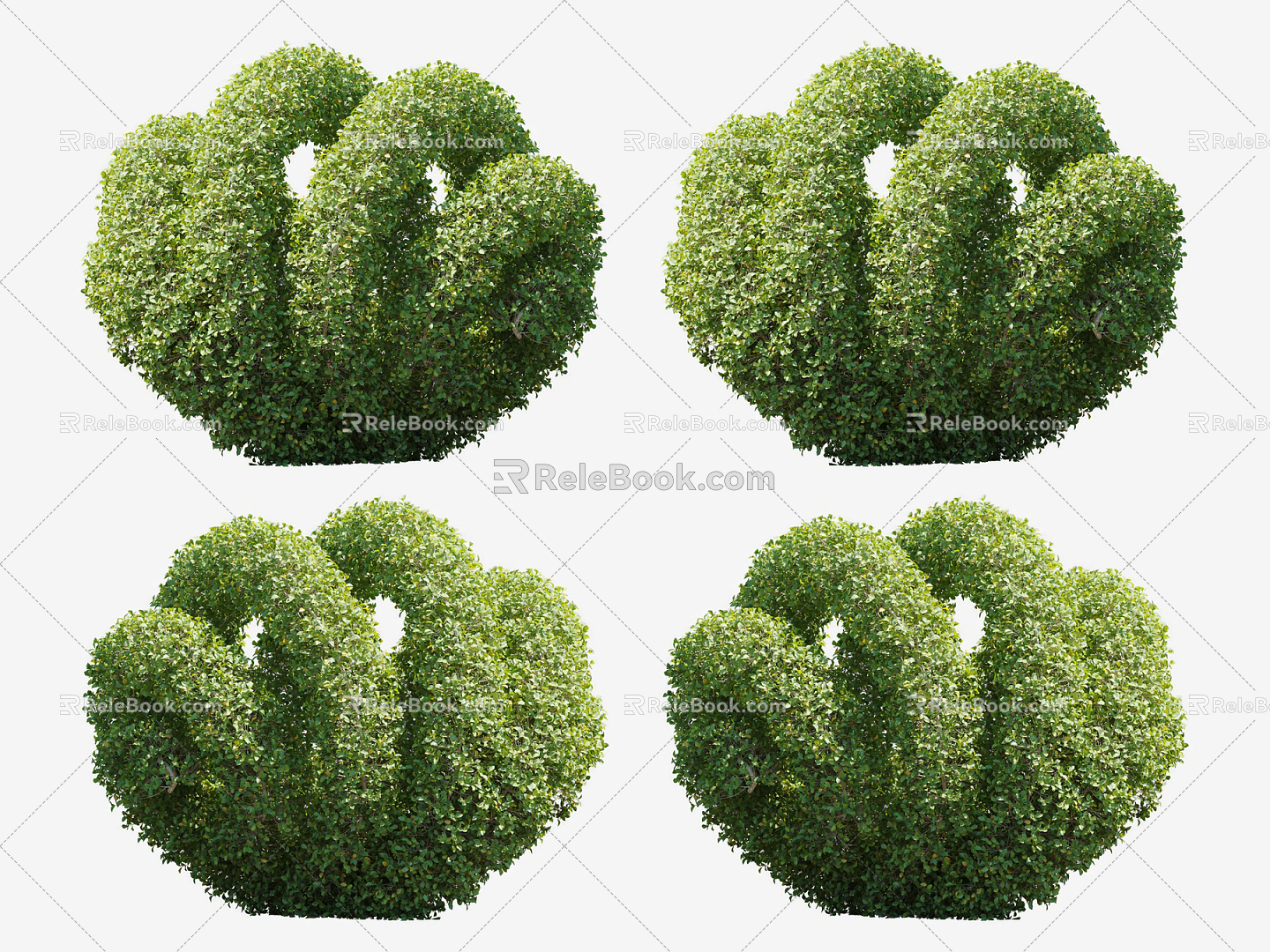 Modern Shrub Plants 3d model