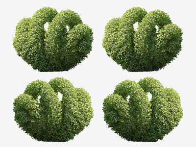 Modern Shrub Plants 3d model