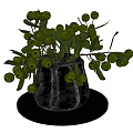 Black Vase with Green Berries and Leaves on Round Base Decorative Floral Arrangement