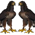 Two Standing Eagles With Brown Feathers Yellow Talons On Gray Background Including Reflections 3d model