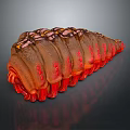 3D Rendered Biomorphic Form With Brown Red Texture And Segmented Structure On Dark Background