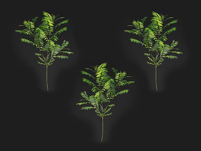 Lush Green Arbor With Dense Foliage And Elegant Branch Structure 3d model