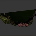 Lush Green Moss and Red Mushrooms Growing on a Natural Tree Stump with Small Plants