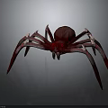 Realistic Red Spider 3D Character Design with Spiked Legs and White Tips 3d model