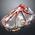 Red Octopus Model With Long Tentacles On Rock Base And Small Decorations
