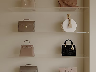 Stylish Handbags Arranged On Shelves With Different Colors Styles And Designs 3d model