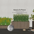 Indoor Nature Peace Plant Combinations with Green Yellow Grasses Red Berry Tree in Wooden Planters