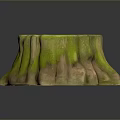 Wooden Stump With Natural Texture And Green Moss Covered Decorative Surface