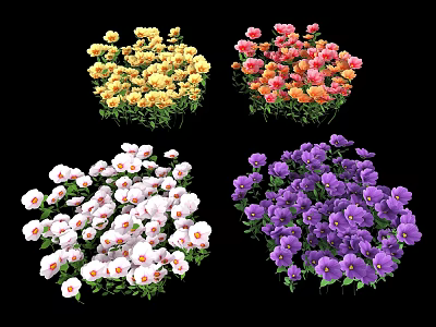 Vibrant Colorful Flowering Plants With Yellow Pink White And Purple Blooms 3d model