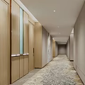 Modern Elevator Hallway With Flowing Pattern Carpet Soft Lighting And Decorative Wall Panels 3d model
