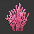 Vibrant Pink Coral Like Branching Plants With Various Shapes And Structures