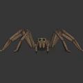 Brown Spider With Long Legs Patterned Body And Prominent Eyes On Dark Background