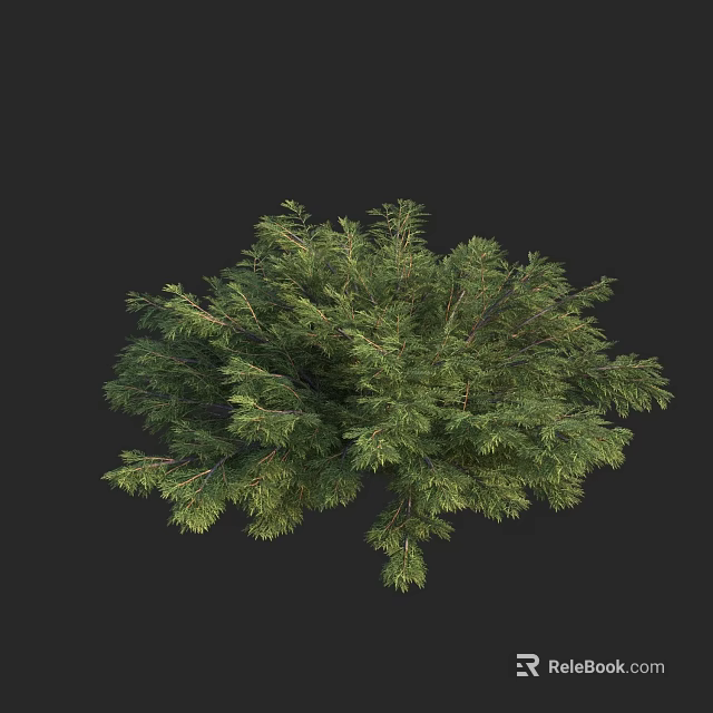 Vibrant Lush Green Bush Featuring Dense Foliage And Natural Branch Structure 3d model 