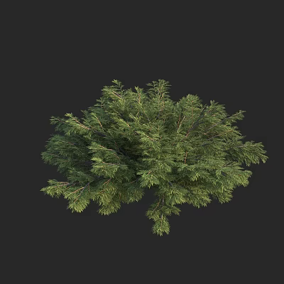 Vibrant Lush Green Bush Featuring Dense Foliage And Natural Branch Structure 3d model