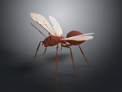 Red Winged Ant 3D Rendering With Transparent Wings And Long Legs On Dark Background 3d model