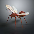 Red Winged Ant 3D Rendering With Transparent Wings And Long Legs On Dark Background 3d model
