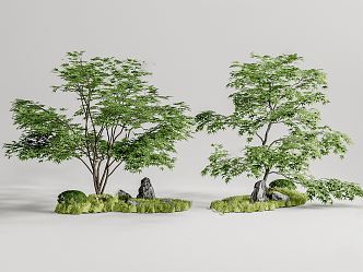 Modern Tree Landscape Tree Garden Tree Ornamental Tree 3d model